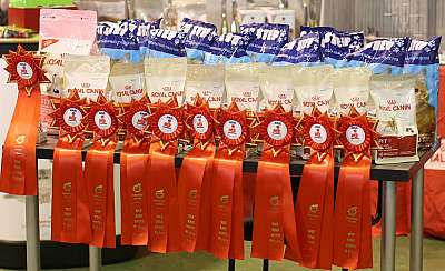 �������� ����� '���-�����-�������' 18-19 ������� 2014 169A4045 copy.jpg